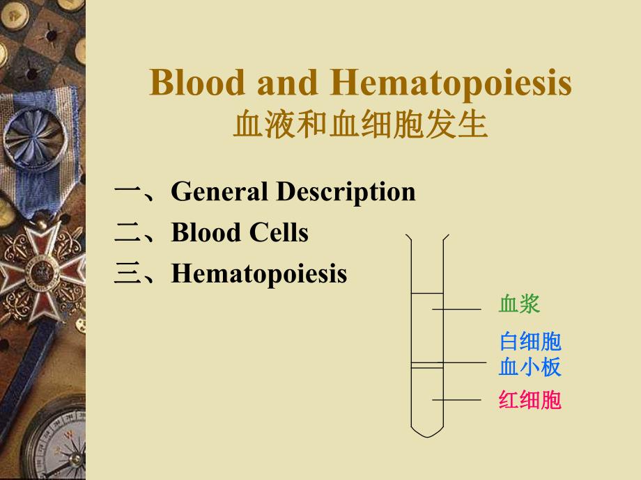 血液和血细胞发生.ppt_第1页