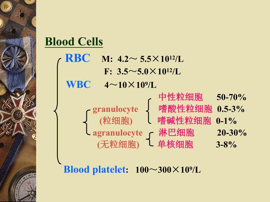 血液和血细胞发生.ppt_第3页