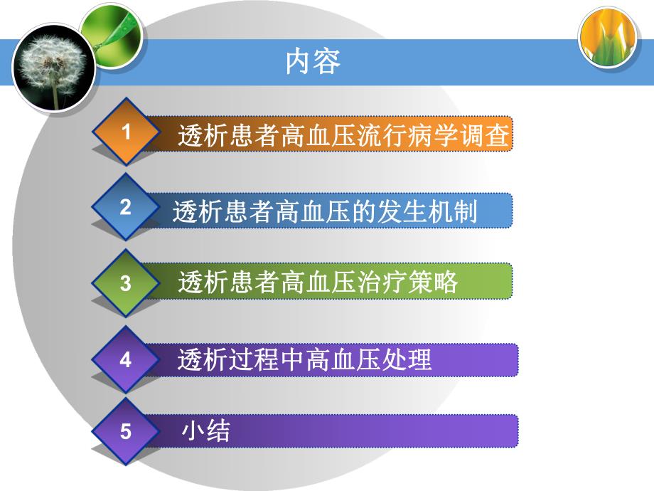 血液透析患者高血压的治疗探讨.ppt_第2页