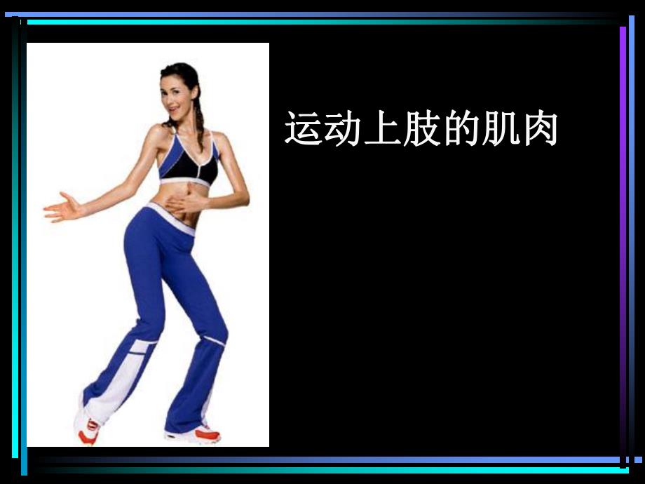 运动上肢的肌肉.ppt_第1页