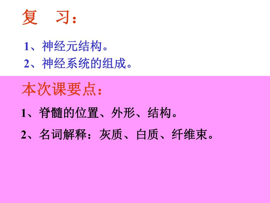 试讲脊髓课件.ppt_第2页