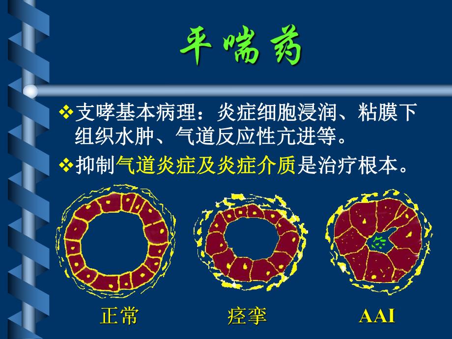 药理学血液与内脏药物电子讲义.ppt_第3页