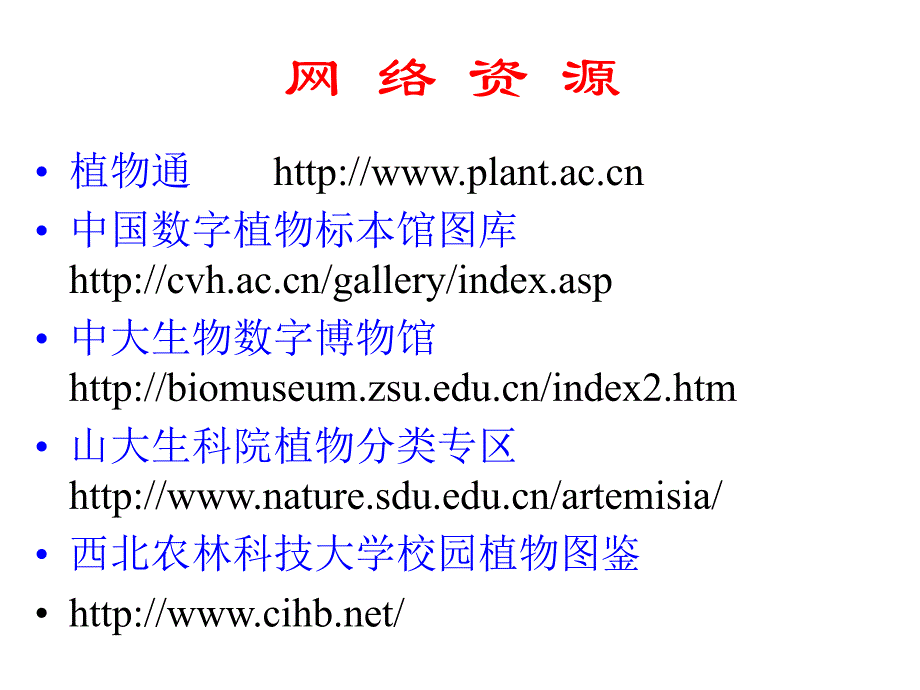 药用植物学被子植物门.ppt_第2页