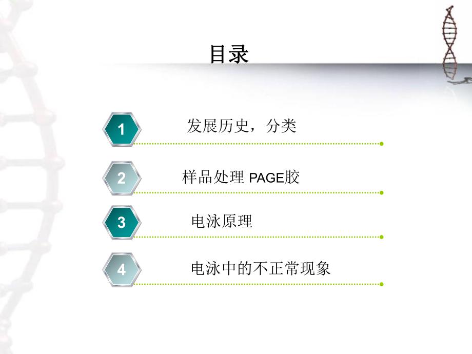 蛋白质的SDSPAGE电泳.ppt_第2页