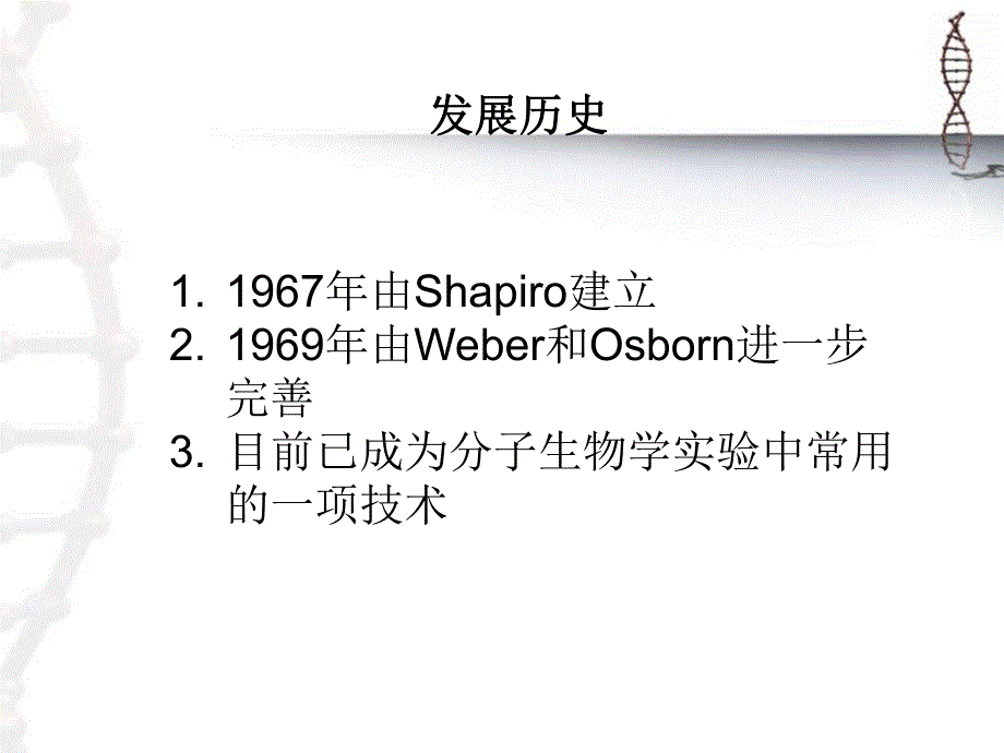 蛋白质的SDSPAGE电泳.ppt_第3页