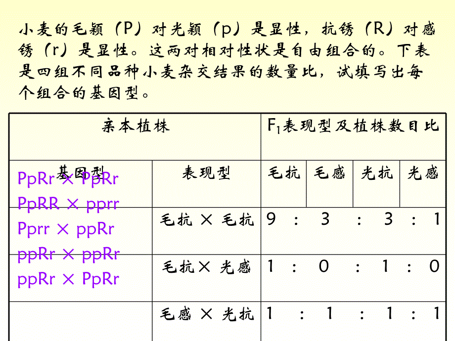 自由组合定律技巧.ppt_第3页