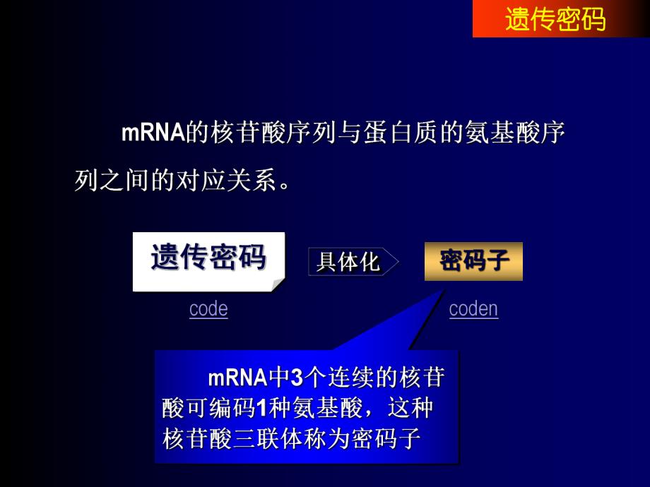 蛋白质合成体系.ppt_第3页