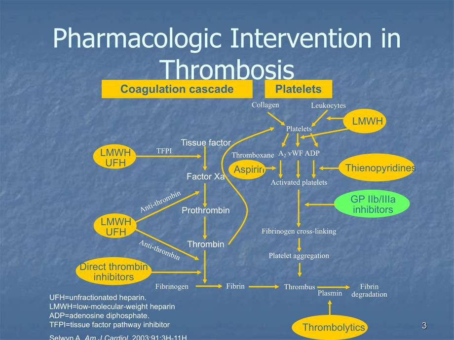 血小板GPIIbIIIa受体拮抗剂临床应用新视点.ppt_第3页