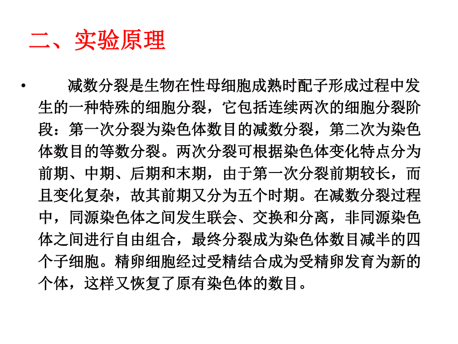 蝗虫精母细胞减数分裂制片及观察4学时.ppt_第2页