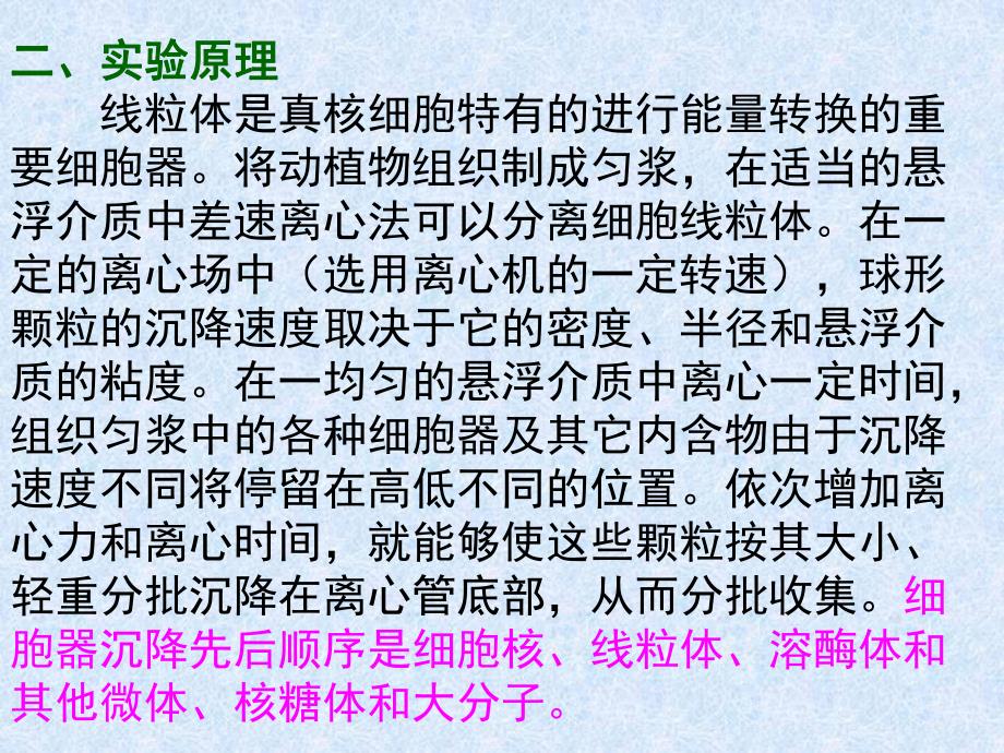 药学院实验四线粒体和细胞核的制备与观察.ppt_第2页