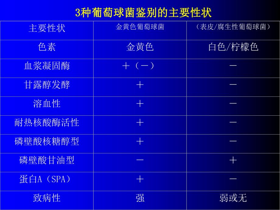 葡萄球菌属Staphylococcus.ppt_第3页