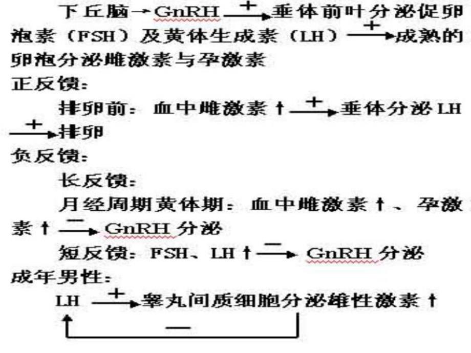 药理讲义pharm33.ppt_第3页