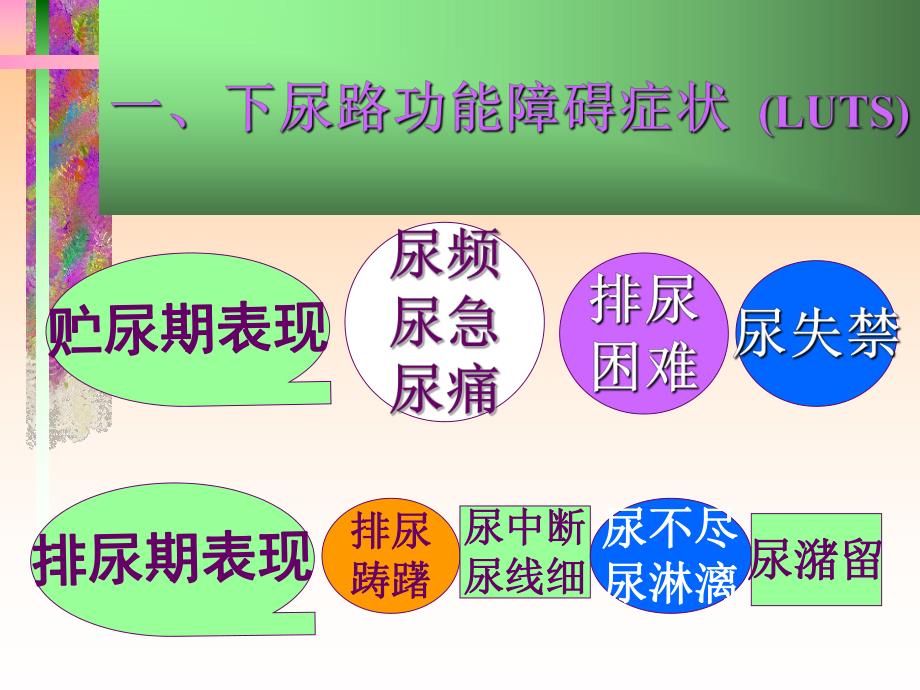 自主神经系统药物在下尿路功能障碍疾患的应用.ppt_第2页