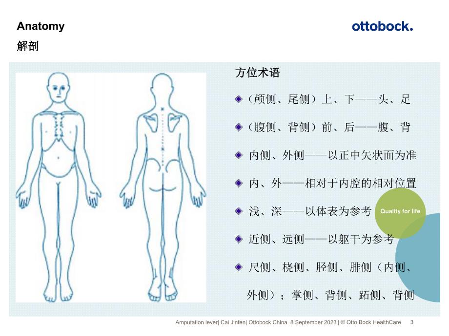 解剖学基本知识.ppt_第3页