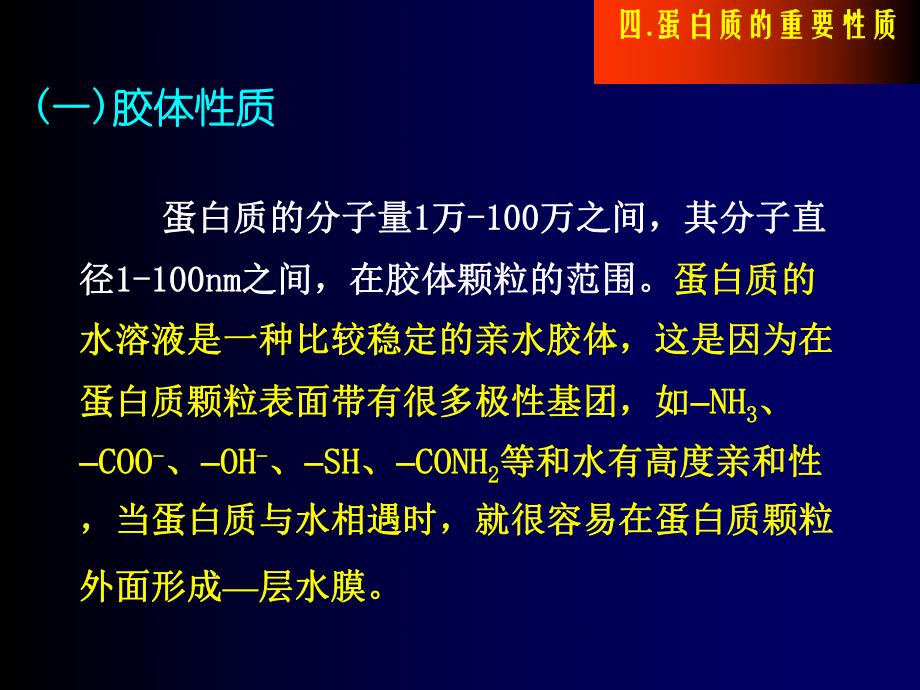 蛋白质的重要性质.ppt_第2页