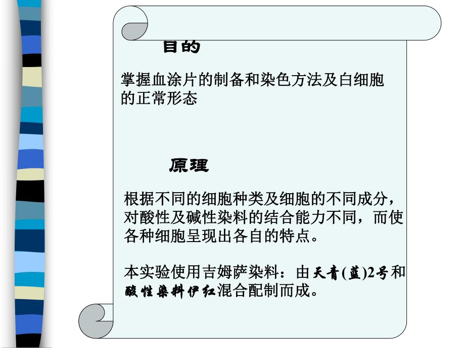 血涂片制备染色及白细胞形态观察1.ppt_第2页