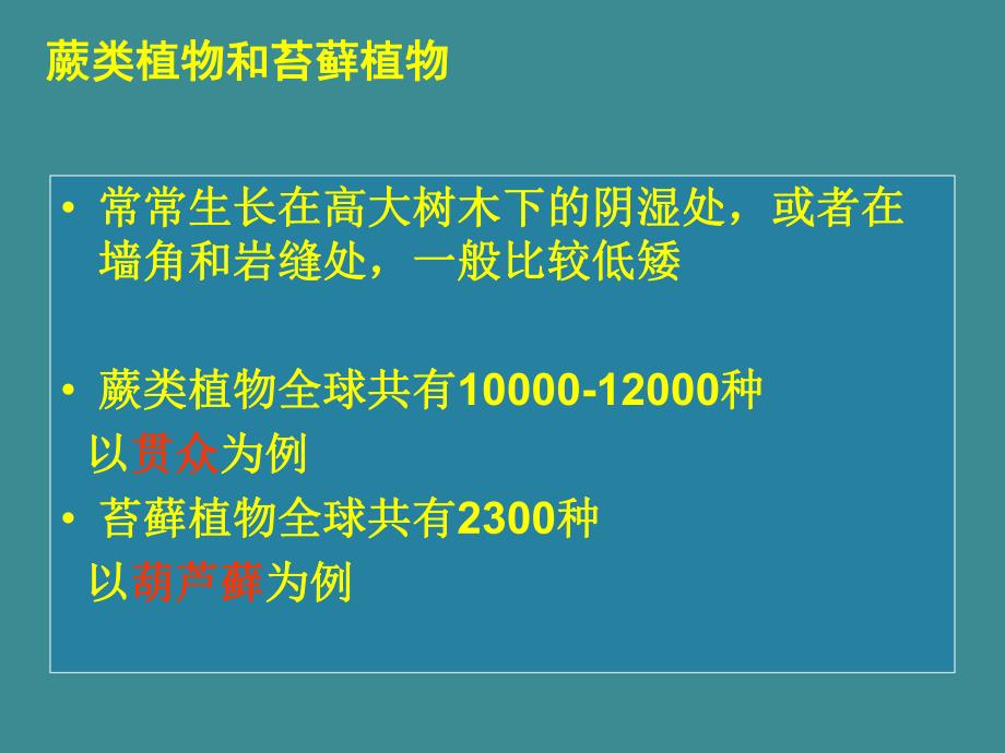 蕨类植物与苔藓植物教学课件.ppt_第3页