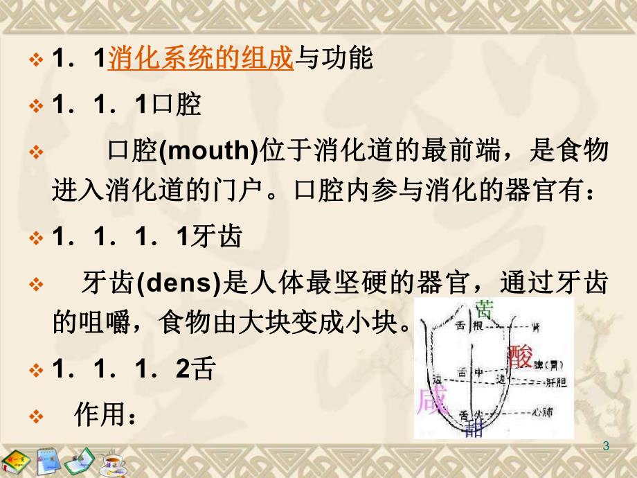 营养师食物的消化与吸收.ppt_第3页