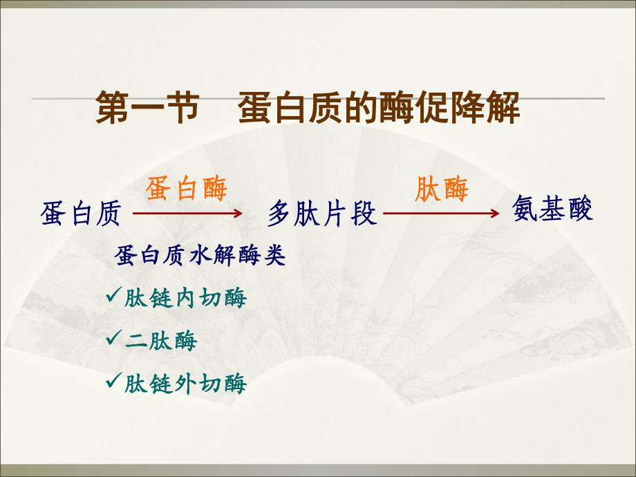 蛋白质代谢12.ppt_第2页