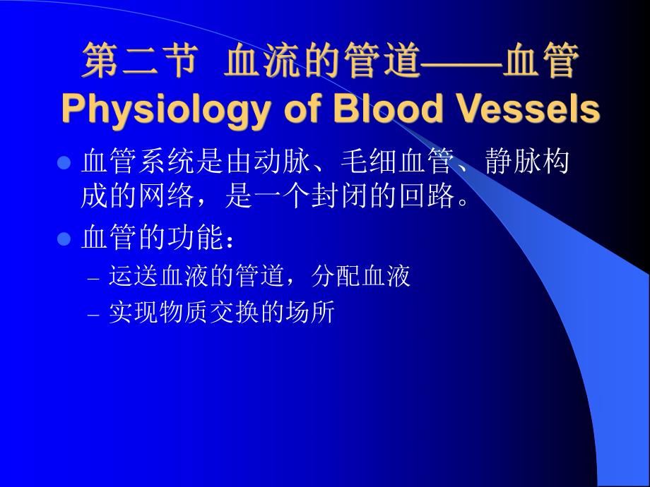 血流的管道血管2.ppt_第1页