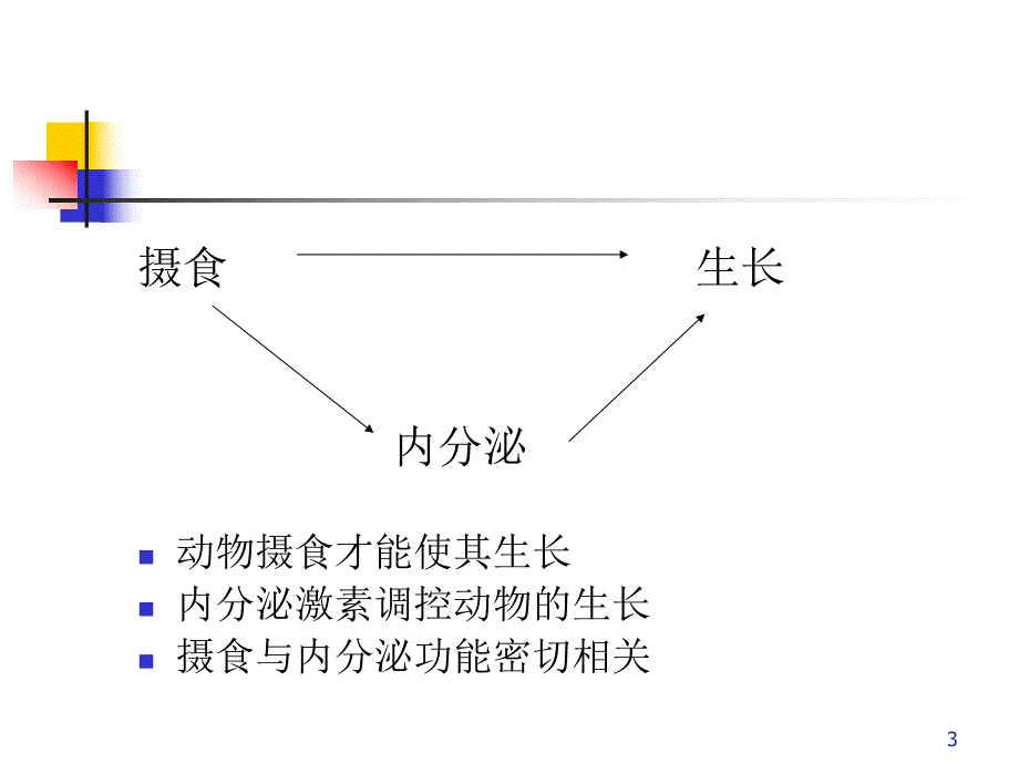 营养与内分泌激素.ppt_第3页