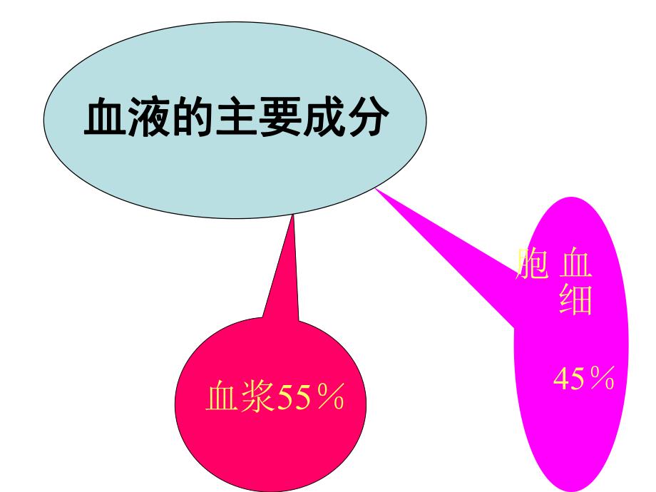 贫血概述ppt课件.ppt_第2页