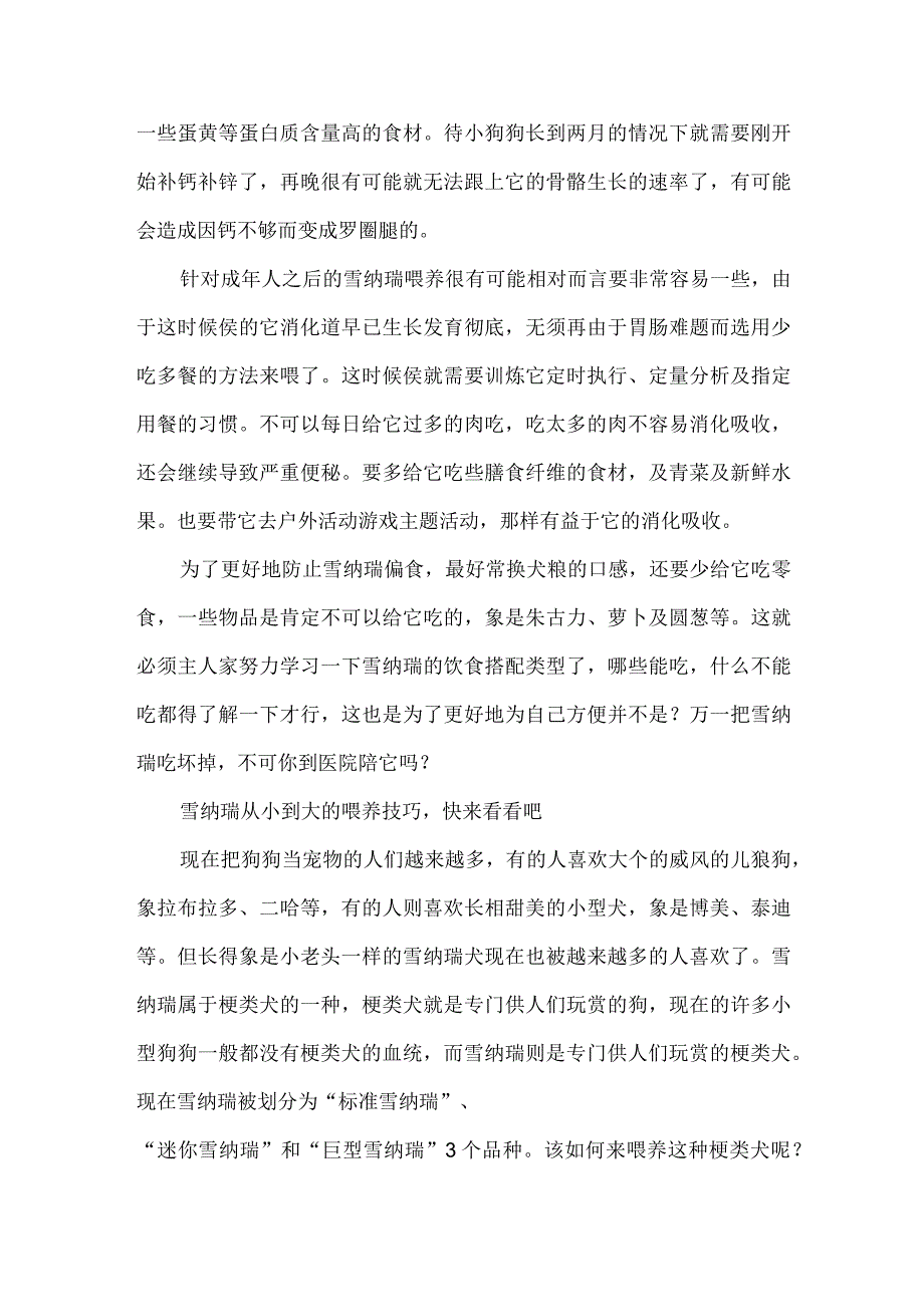 从小到大的边牧-雪纳瑞从小到大的喂养技巧.docx_第2页