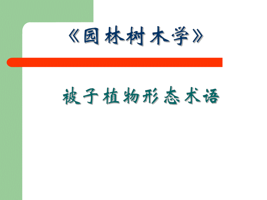 被子植物形态术语自学.ppt_第1页