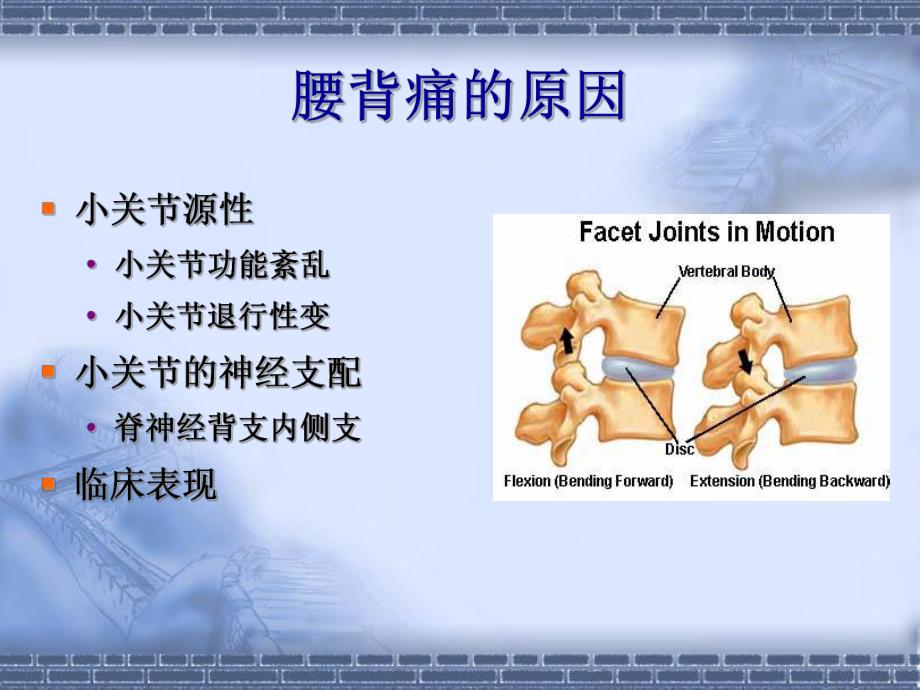 腰背痛神经阻滞疗法.ppt_第3页