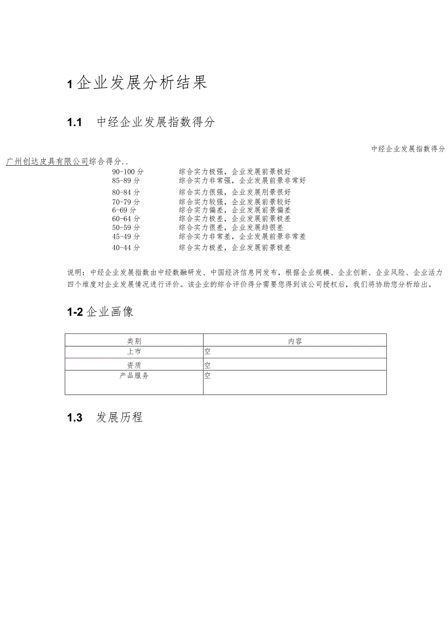 广州创达皮具有限公司企业发展分析报告.docx_第2页