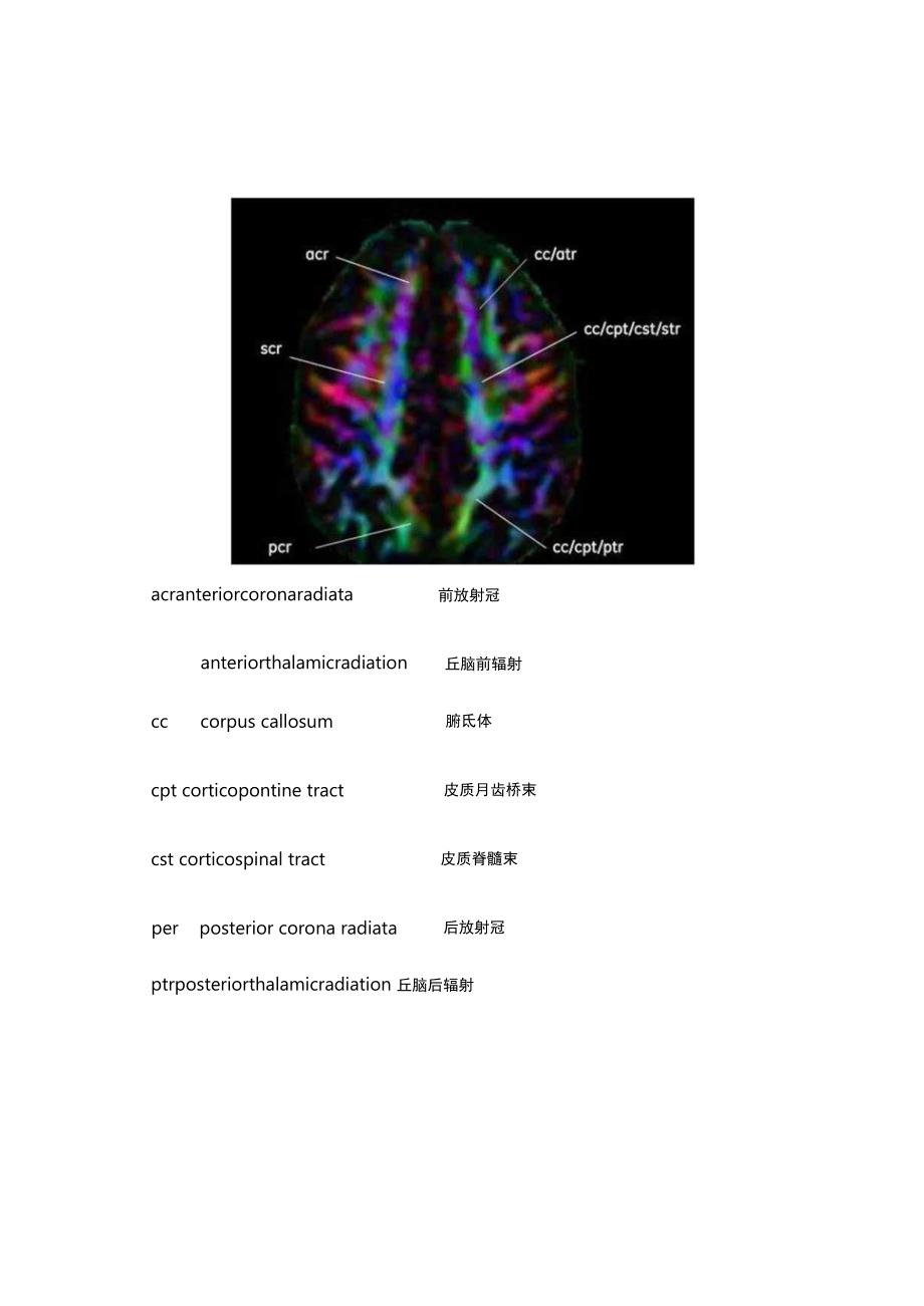 脑白质DTI高清解剖图谱（一）.docx_第3页