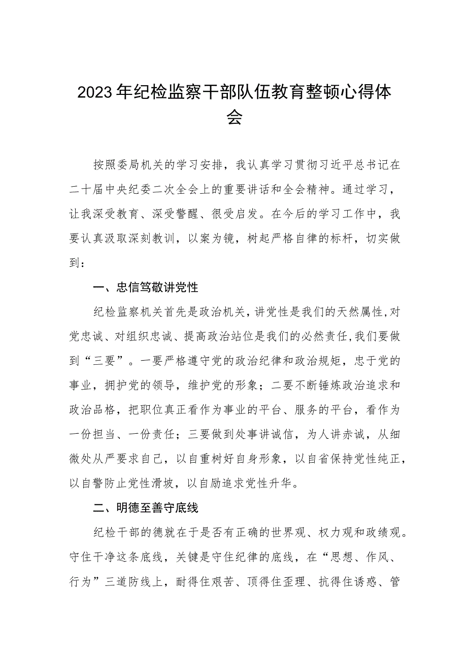 2023纪检监察干部队伍教育整顿心得体会发言稿(五篇).docx_第1页