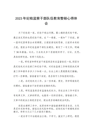 关于纪检干部队伍教育整顿心得体会的研讨材料(八篇).docx