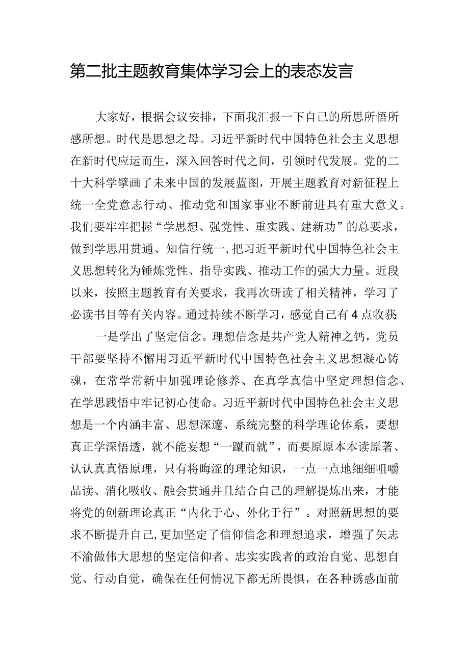 第二批主题教育集体学习会上的表态发言.docx_第1页