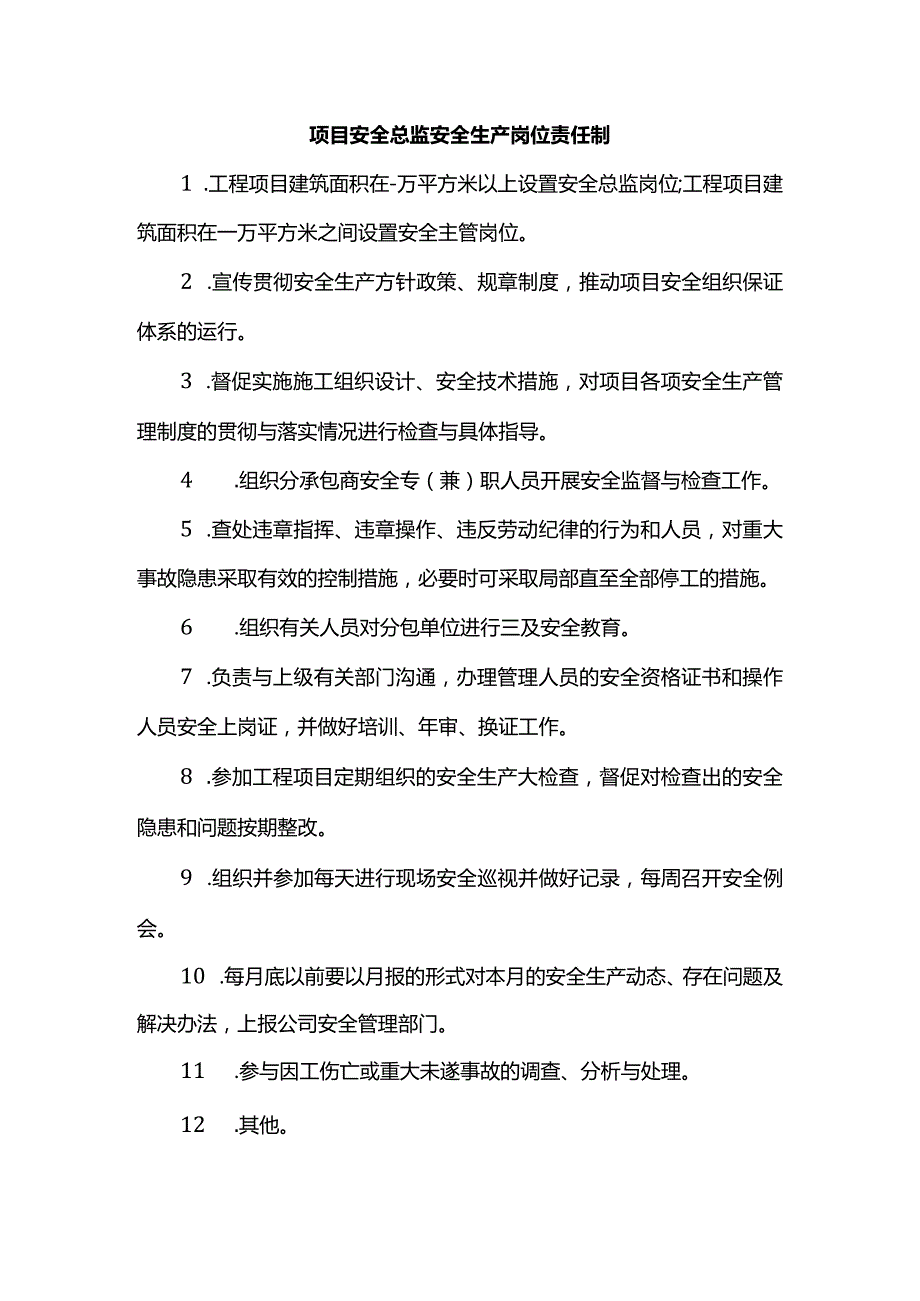 项目安全总监安全生产岗位责任制.docx_第1页