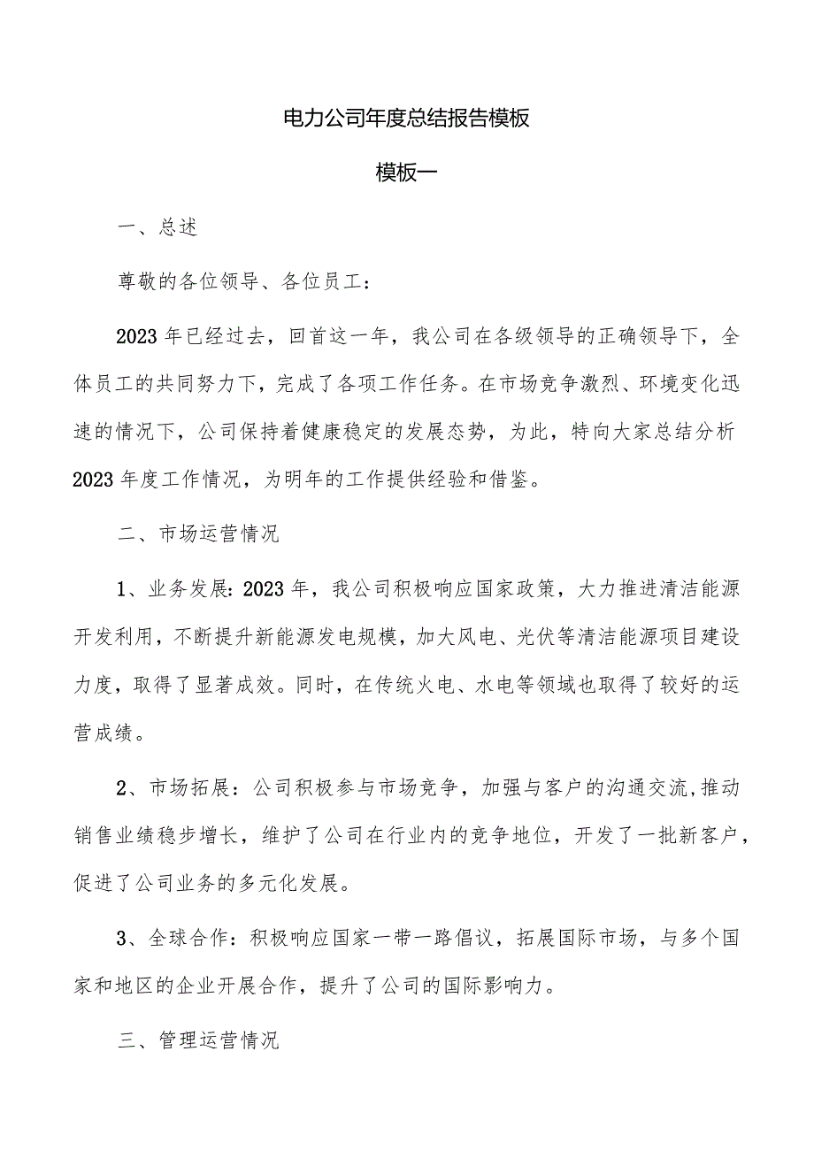 电力公司年度总结报告模板.docx_第1页