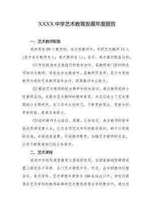 中学艺术教育发展年度报告.docx