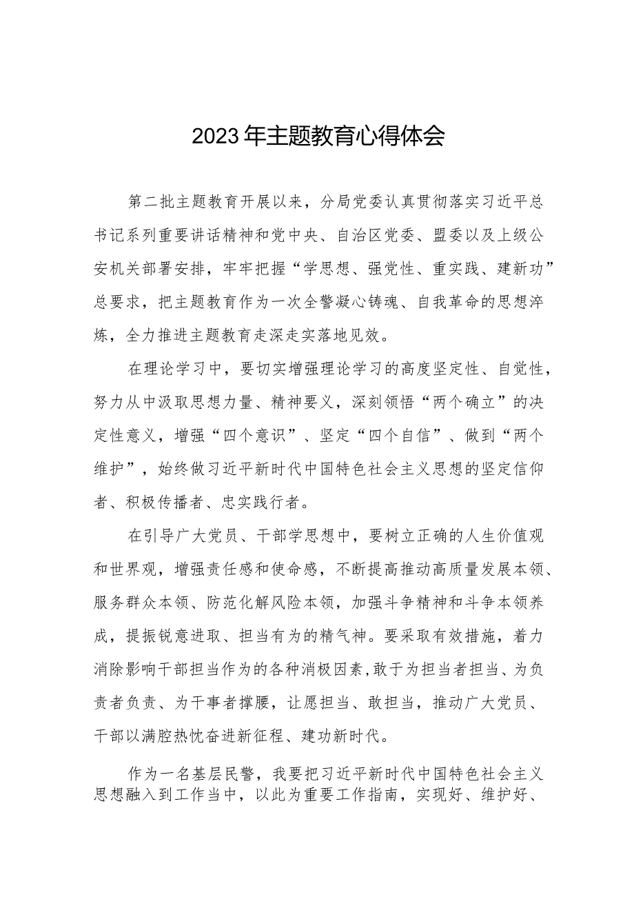 公安民警第二批主题教育学习心得体会十一篇.docx_第1页