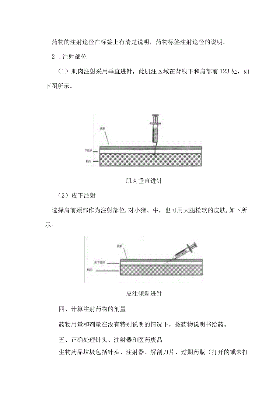 牧业公司猪、牛场药物疫苗注射接种规范.docx_第3页