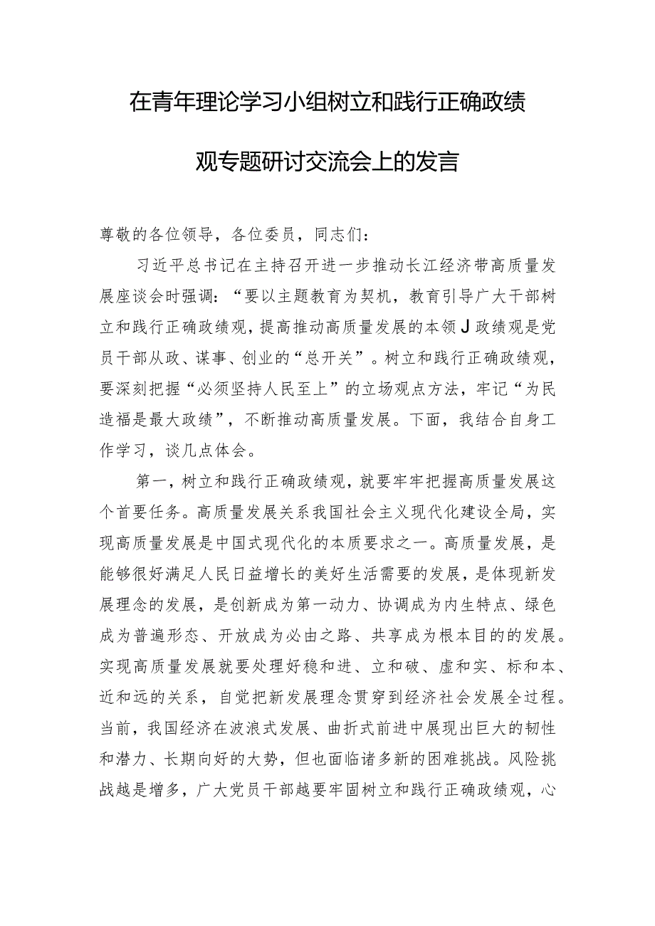 在青年理论学习小组树立和践行正确政绩观专题研讨交流会上的发言.docx_第1页