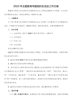 2023年主题教育专题组织生活会工作方案.docx