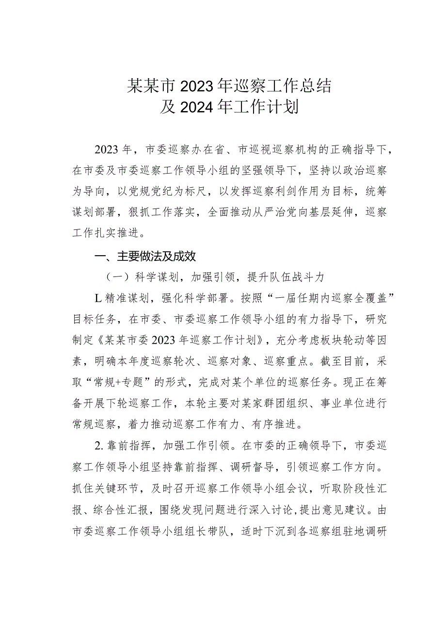 某某市2023年巡察工作总结及2024年工作计划.docx_第1页