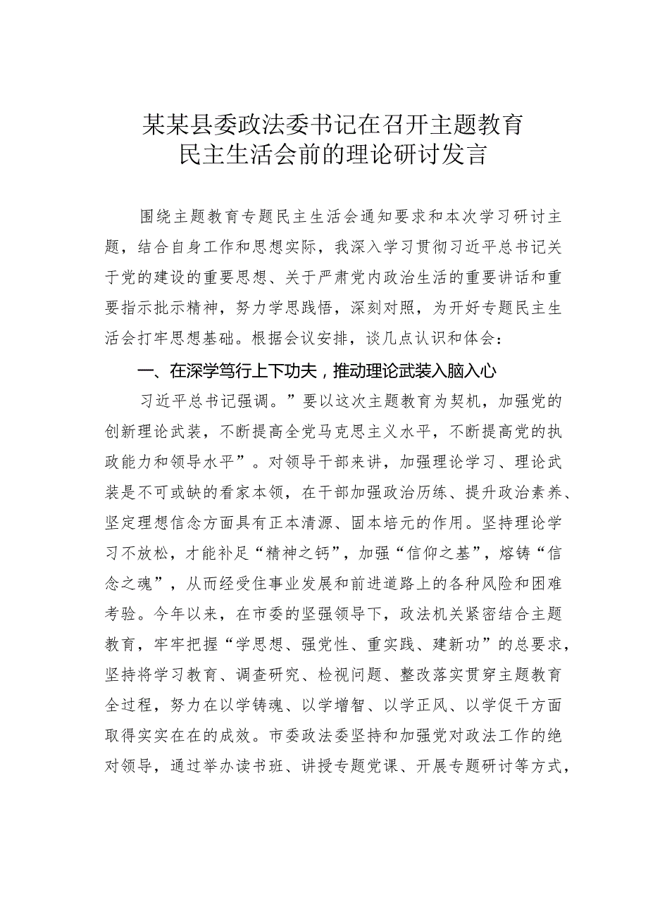 某某县委政法委书记在召开主题教育民主生活会前的理论研讨发言.docx_第1页