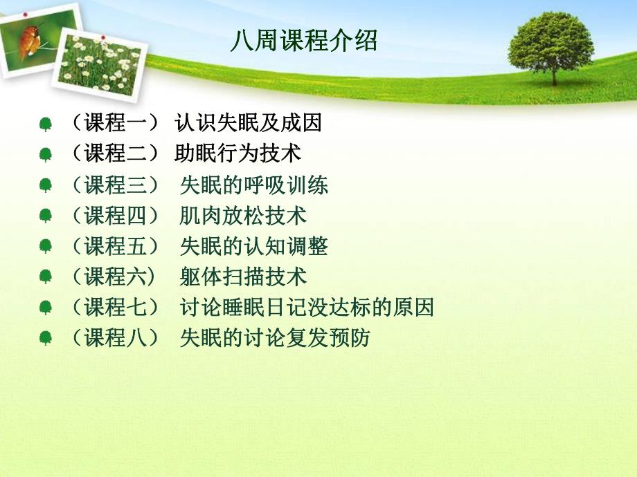 失眠的非药物治疗.ppt_第3页