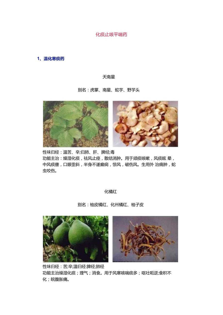 化痰止咳平喘药.docx_第1页