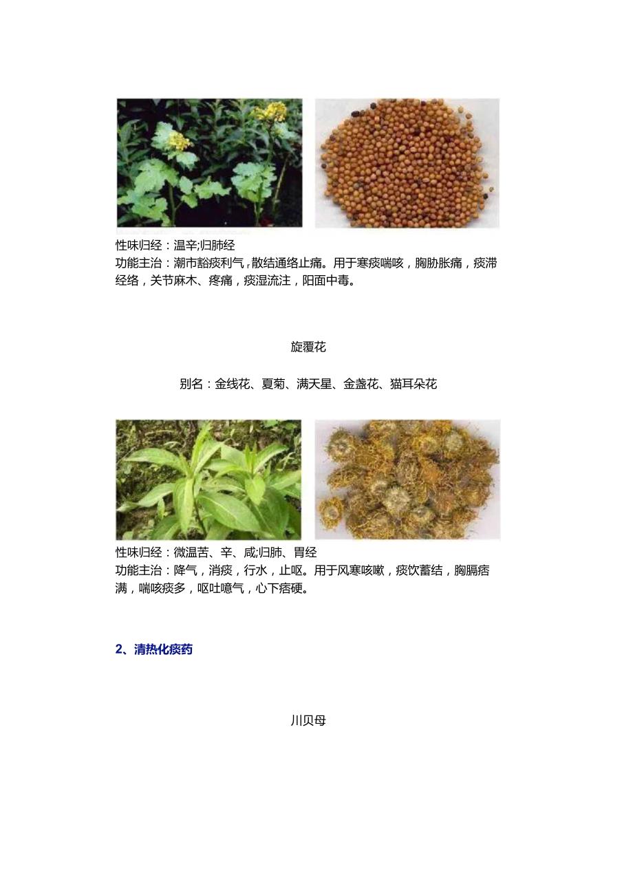 化痰止咳平喘药.docx_第3页