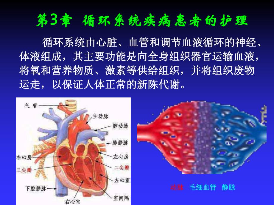 循环系统疾病常见症状的护理.ppt_第3页