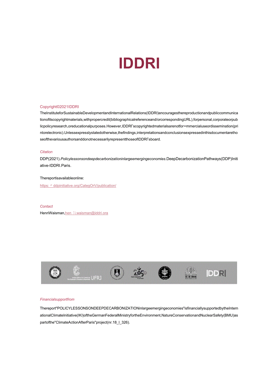 可持续发展与国际关系研究所-大型新兴经济体深度脱碳的政策教训（英）-2021.11-86正式版.docx_第2页