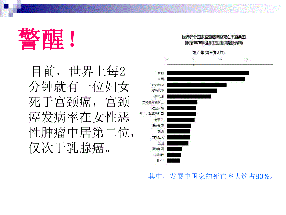 宫颈癌防治PPT.ppt_第2页