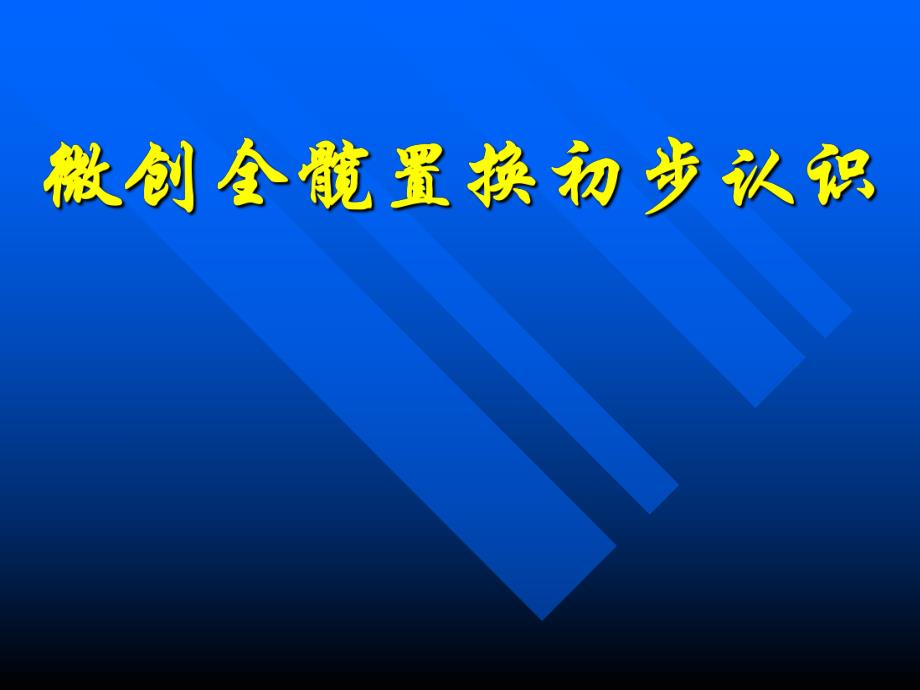 微创全髋置换初步认识.ppt_第1页